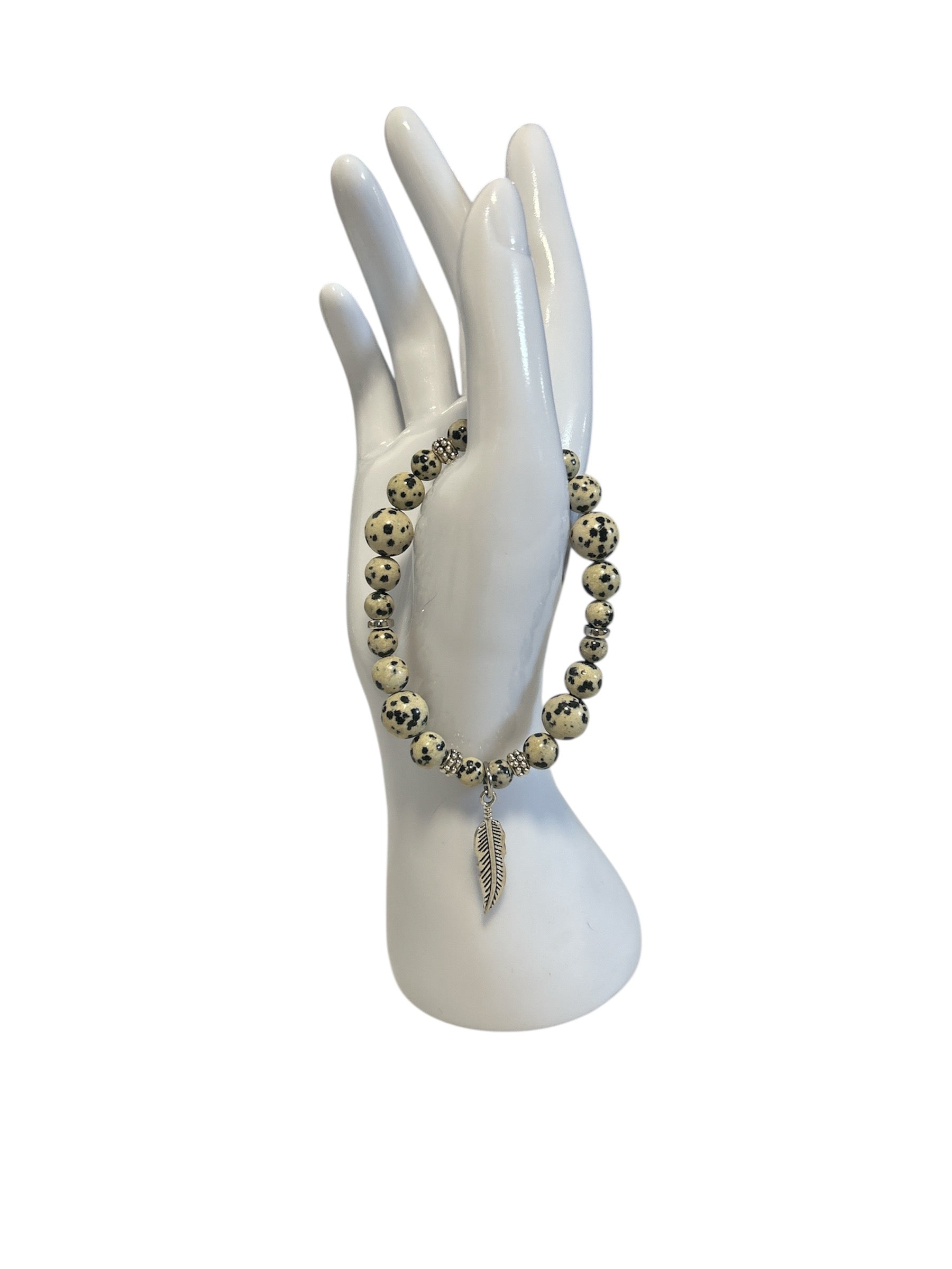 Jaspe dalmatien homme